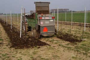SADOWNICZY ROZRZUTNIK NAWOZÓW ORGANICZNYCH
